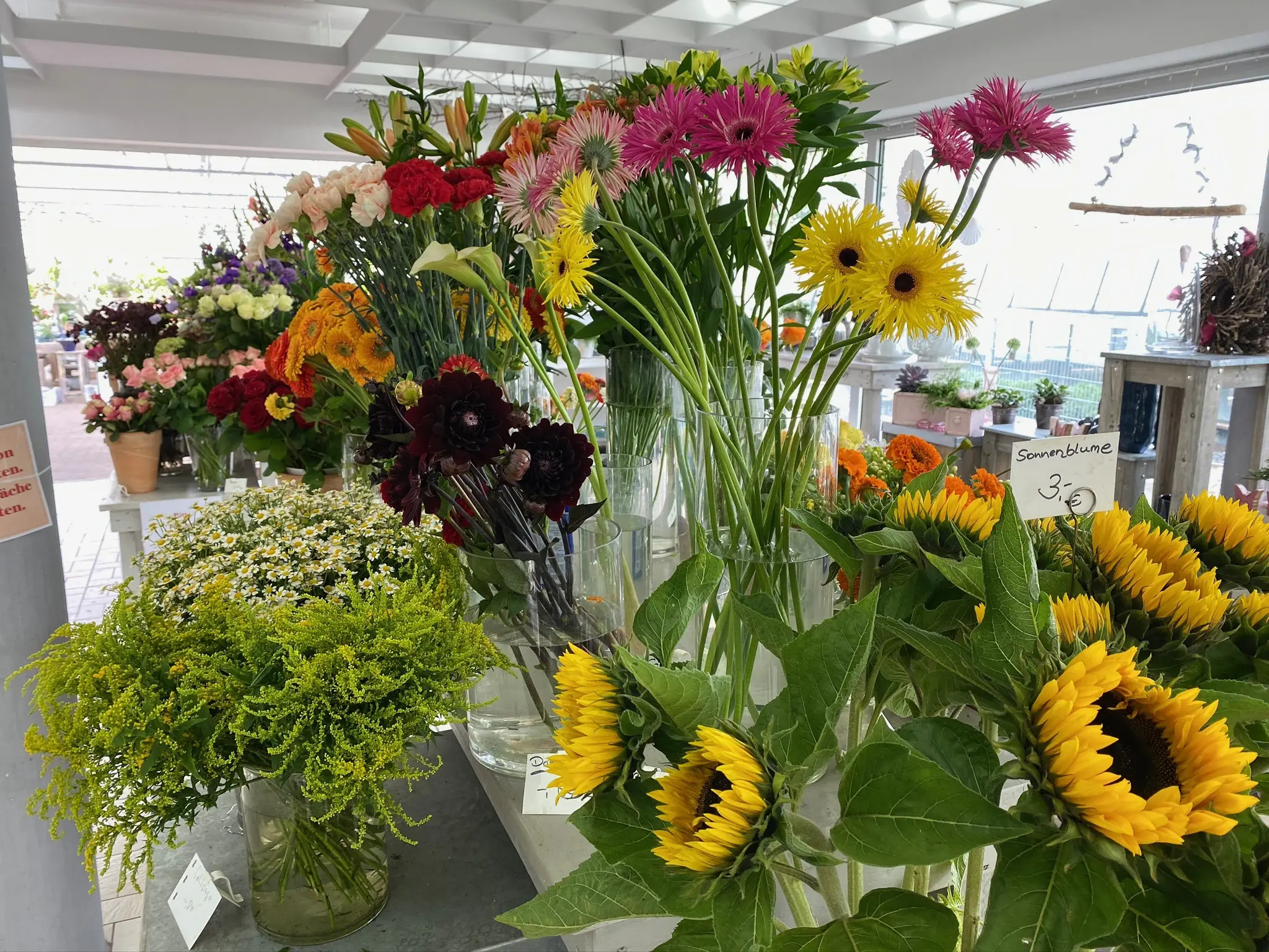 Schnittblumen und Blumensträuße - Gärtnerei Lehnhoff Hildesheim