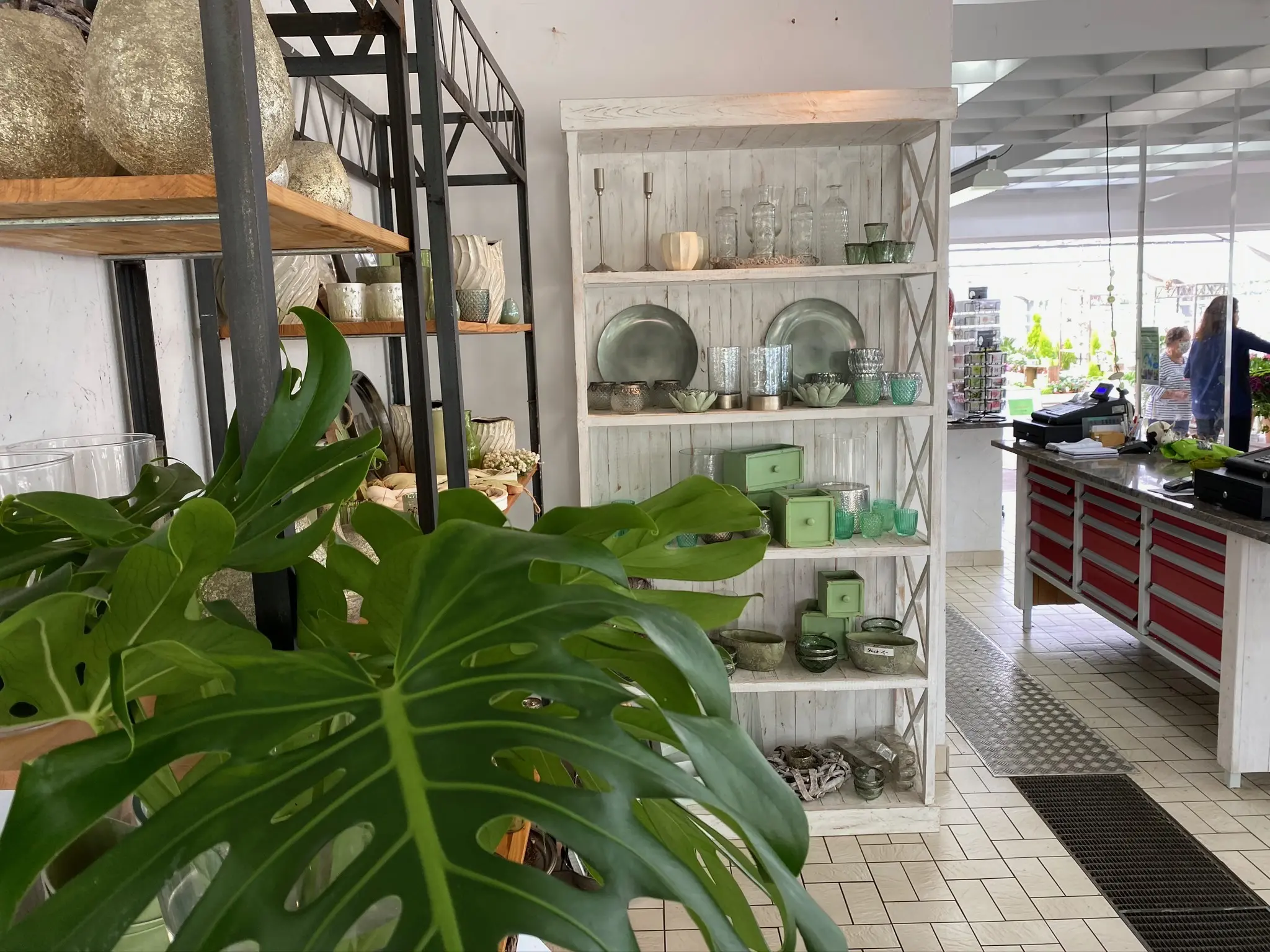 Unsere Verkaufs- und Ausstellungsfläche unserer Blumen und Pflanzen in Hildesheim