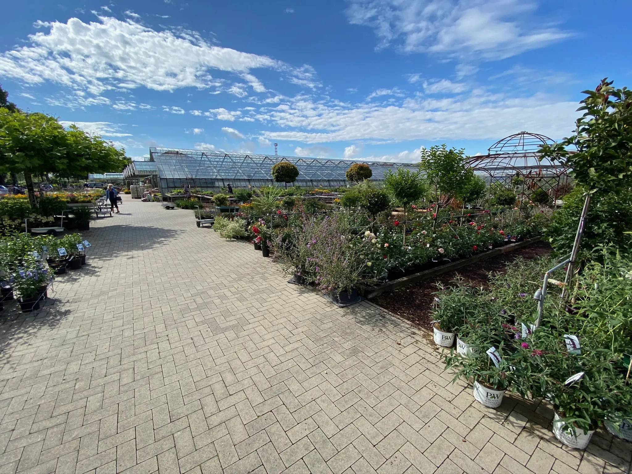 Die Gärtnerei Lehnhoff lädt Sie ein zum Bummeln zwischen blühenden Pflanzen und duftenden Kräutern. Finden Sie Ihre neuen Lieblingspflanzen für Garten, Terrasse oder Balkon!