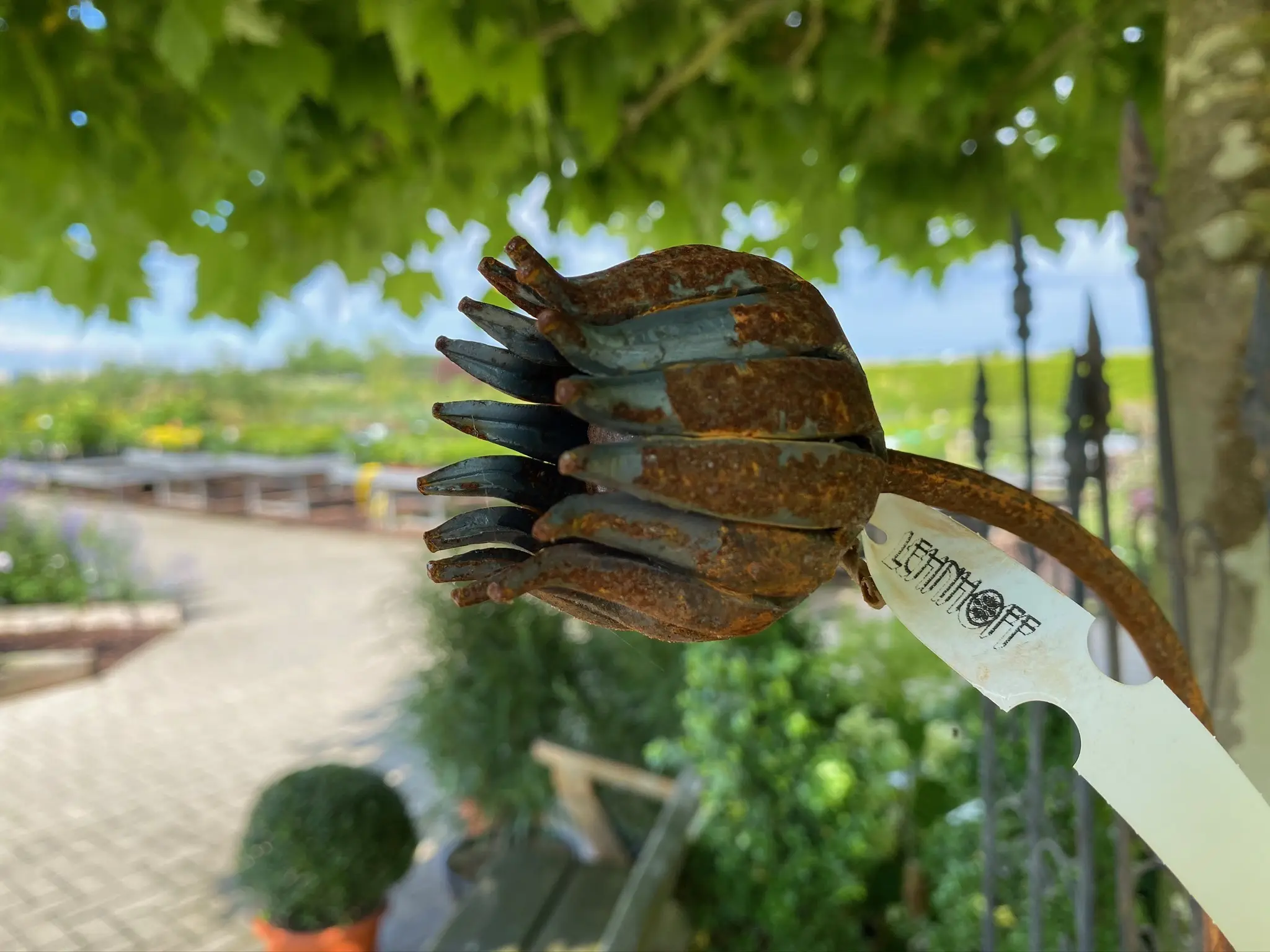 Dekoration für Gärten, Terrassen und Balkone findne Sie in unserem Blumenladen