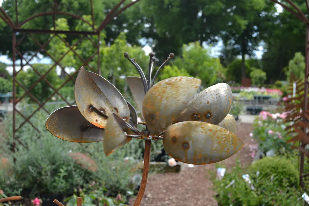Außergewöhnliche und traditionelle Pflanzensorten für Garten, Terrasse und Balkon