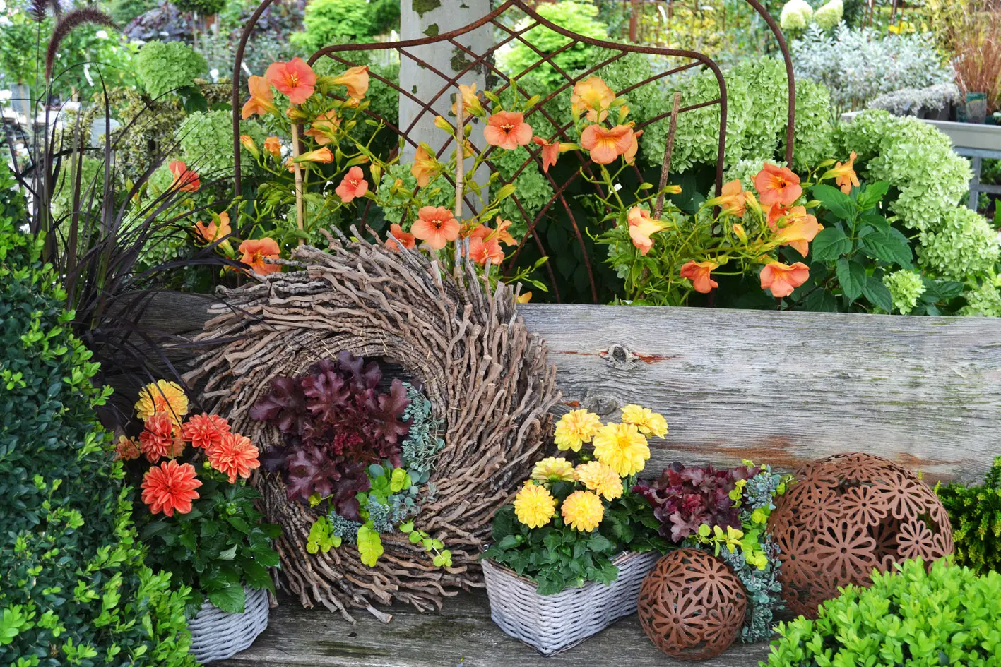 Pflanzen, Blumen, Kräute, Stauden und Bäume für jede Jahreszeit - Für Garten, Terrasse und Balkon