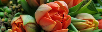 blumenstrauss-fruehling